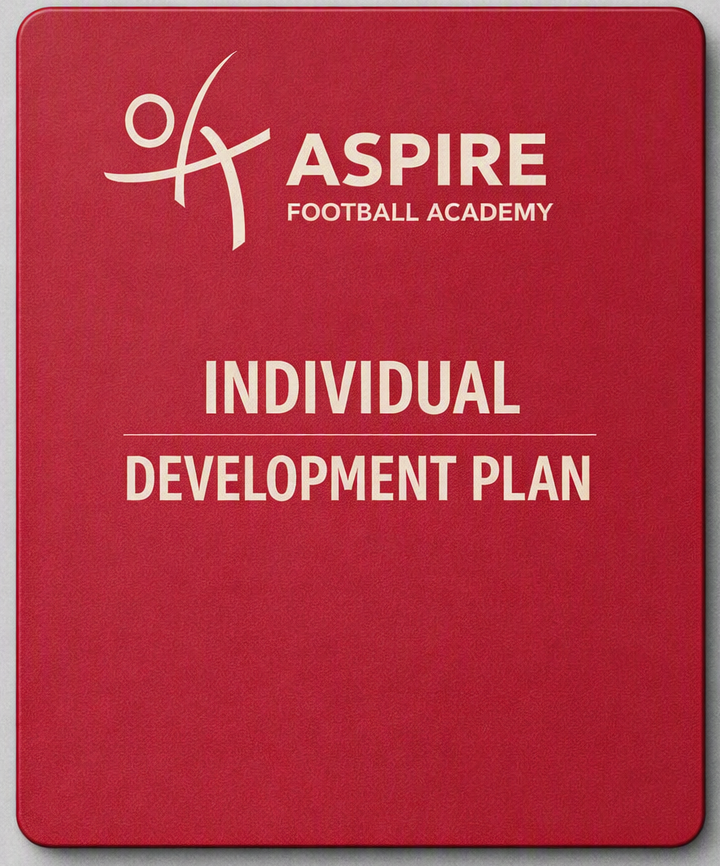 Individual Development Plan (IDP)